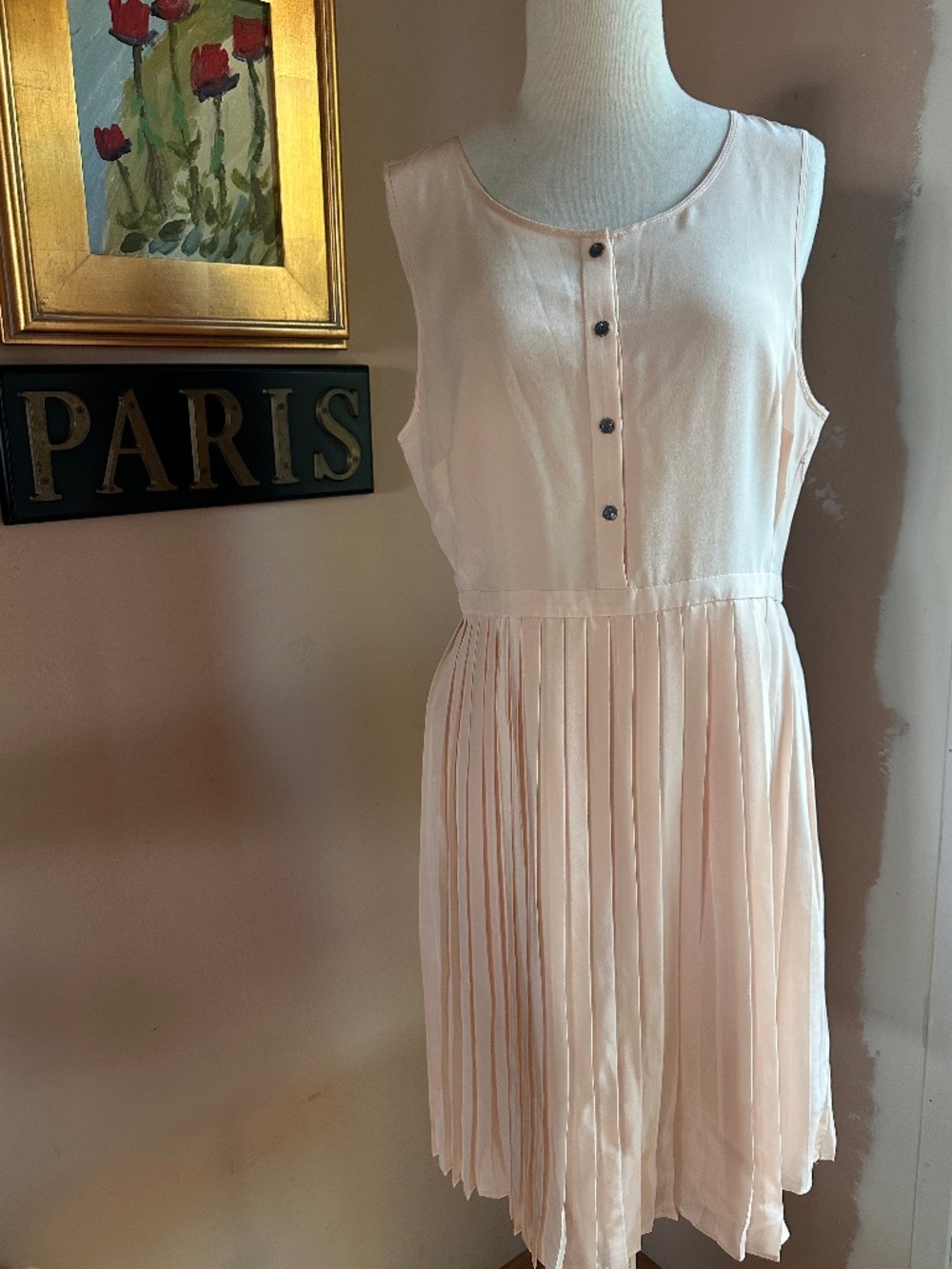 NWT Madewell Pale Pink Silk Dress with Pleated Skirt